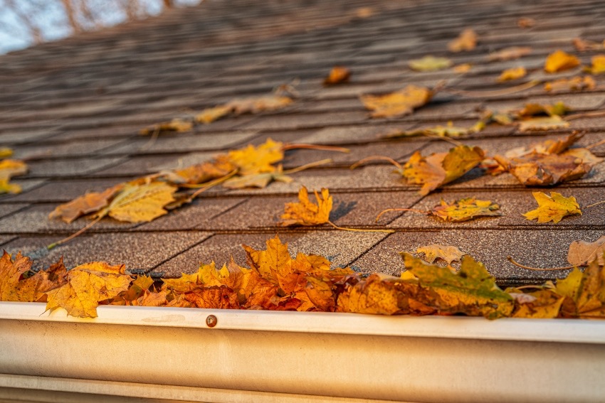 Is Your Roof Ready for Fall? What Northeast Ohio Homeowners Should Check Before Winter
